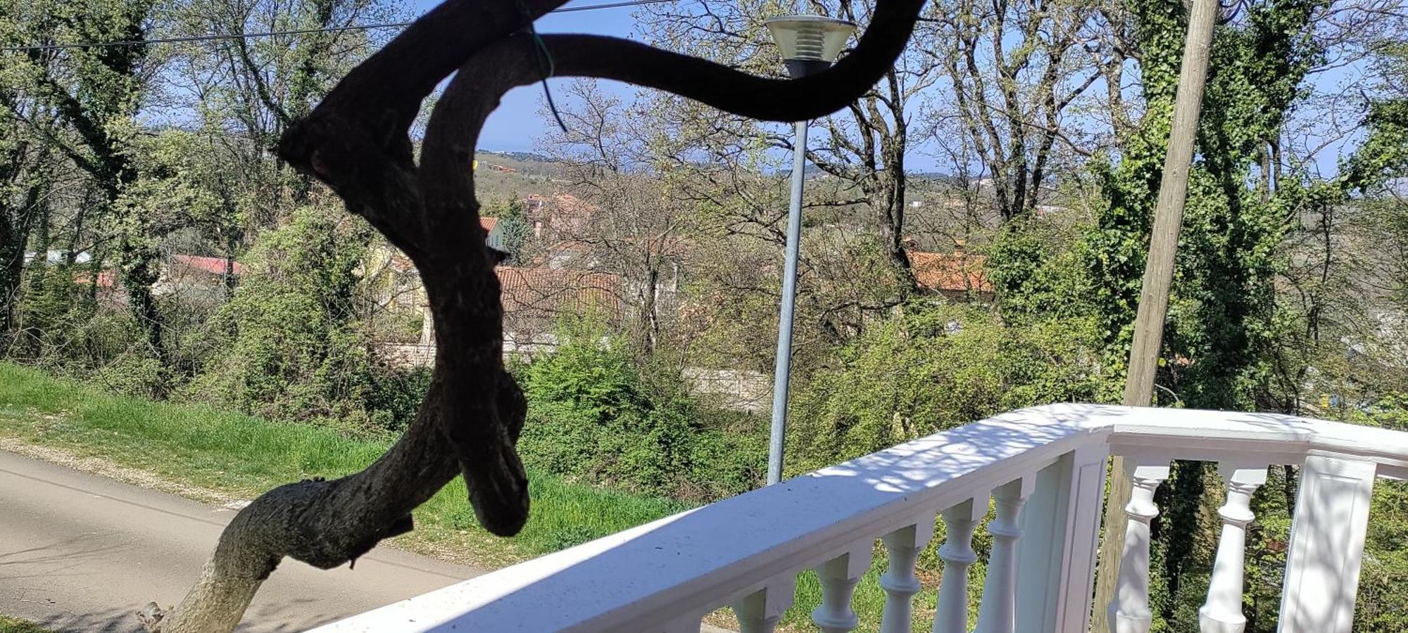 Vila Breskvar Mugeba Bagian luar foto